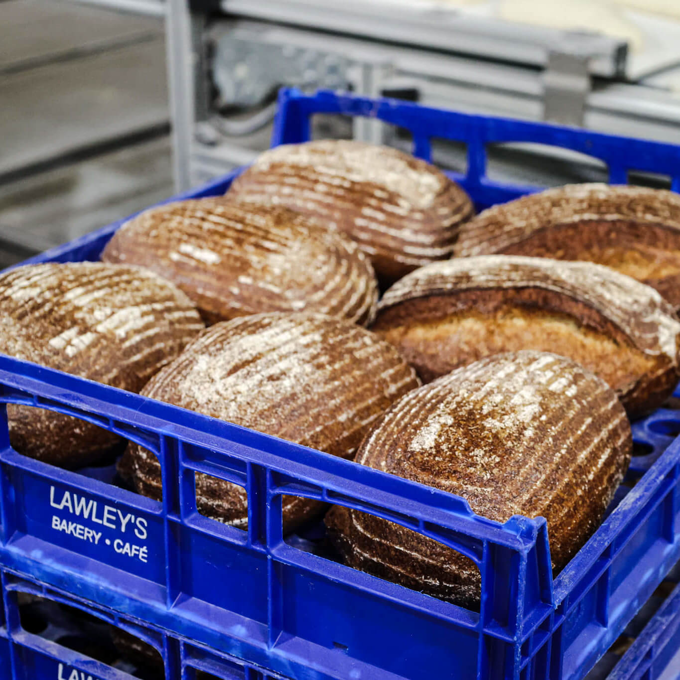 Loaves of bread
